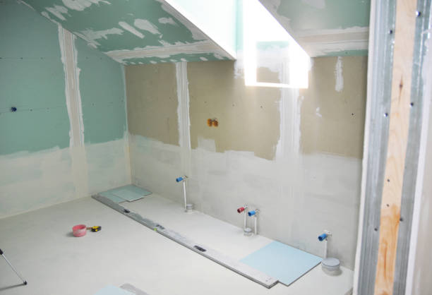 Best Black Mold Removal  in Silver City, NM