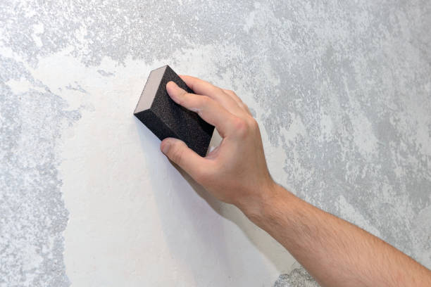 Best Air Quality Testing for Mold Spores  in Silver City, NM
