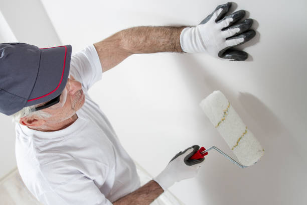 Mold Documentation for Insurance Claims in Silver City, NM