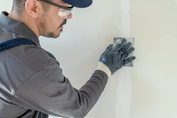 Best Crawl Space Mold Remediation  in Silver City, NM