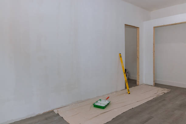 Forensic Mold Investigation in Silver City, NM