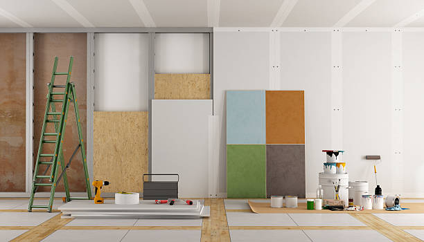 Best Black Mold Removal  in Silver City, NM